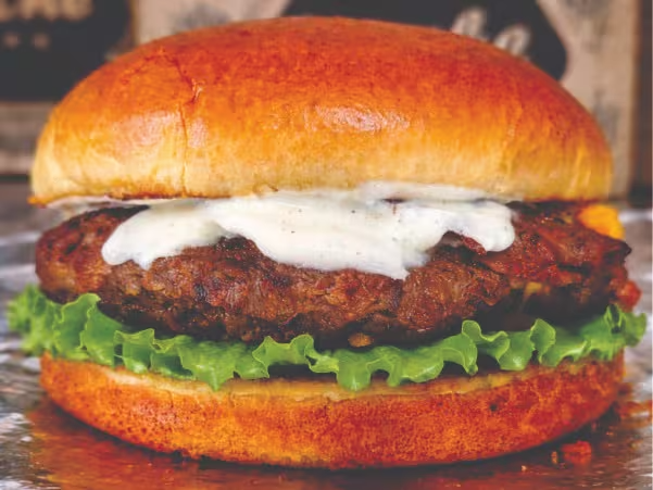 SALAD BURGUER